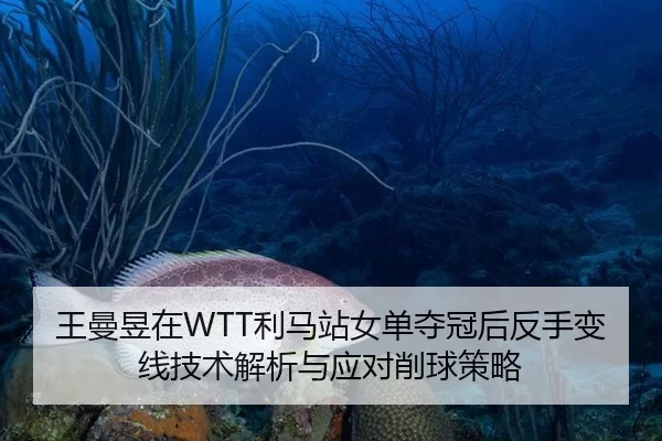 王曼昱在WTT利马站女单夺冠后反手变线技术解析与应对削球策略